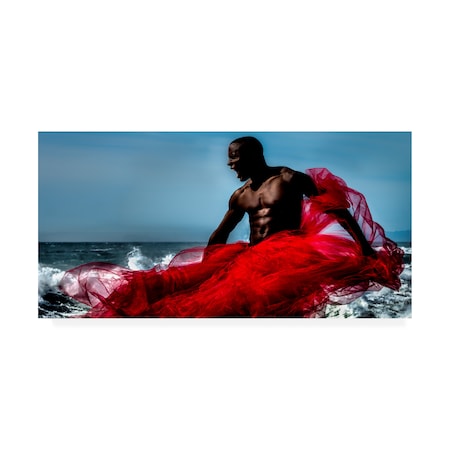 Peter Muller Photography 'Fire And Water Warrior' Canvas Art,12x24